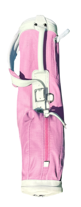 Pink Pony Club Bag